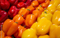 AdobeStock_269954262 Peppers