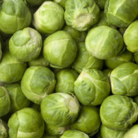 BSAdobe062325A Brussel Sprouts