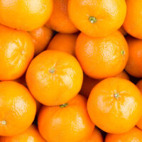 CLAdobe062325A CLAdobe062325A