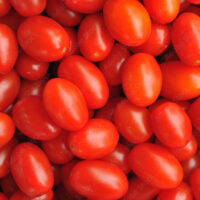 GTAdobe062325A Grape Tomatoes